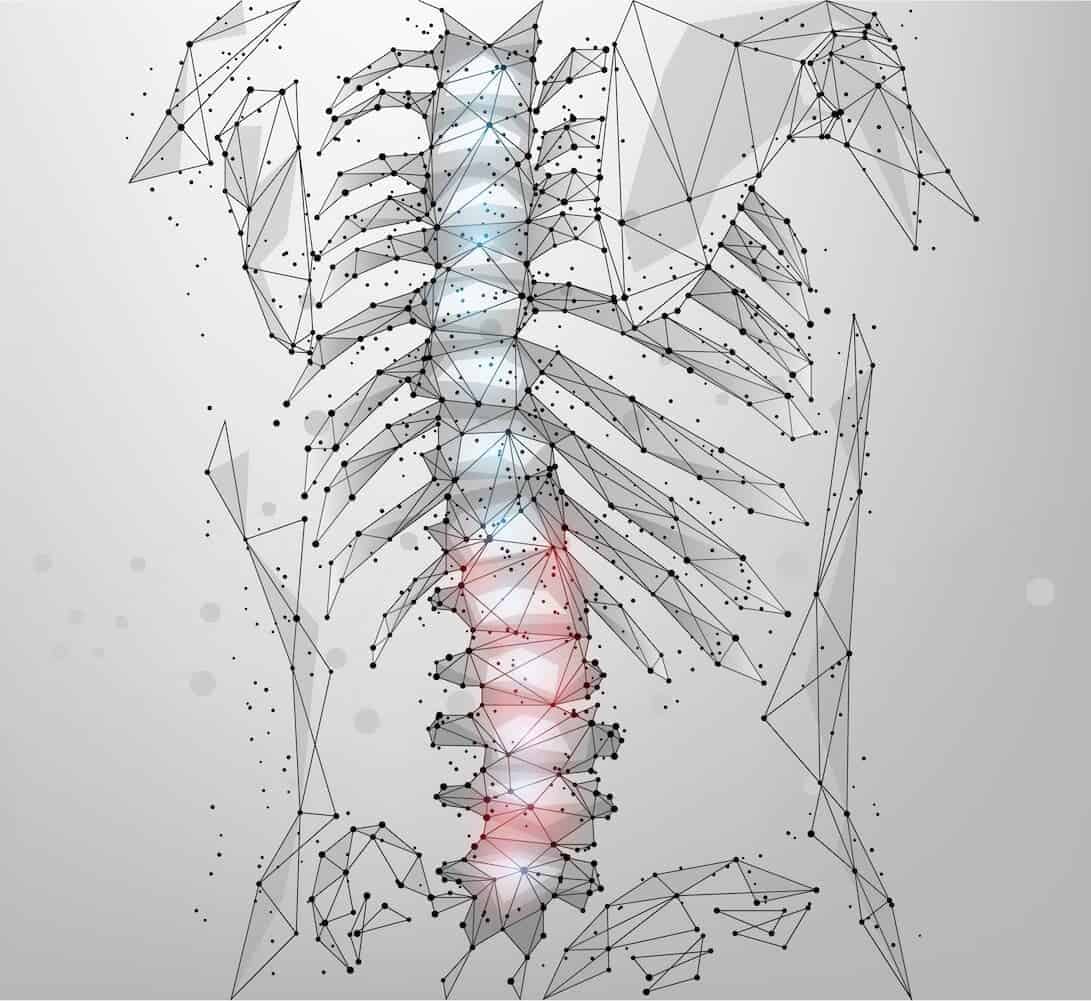 An abstract image of a spine and its neural connections